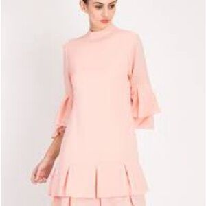 Ruffle Hem + Sleeve Shift Dress